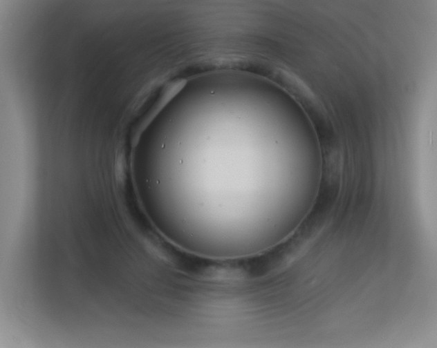 X0000113920644200909241531