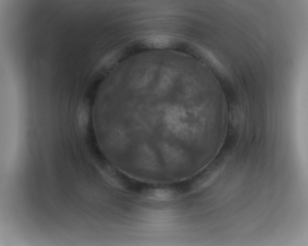 X0000113920645200909241531