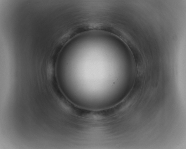 X0000113920648200909241531