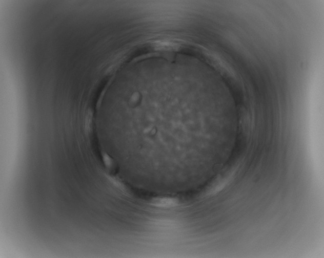 X0000113920649200909241531