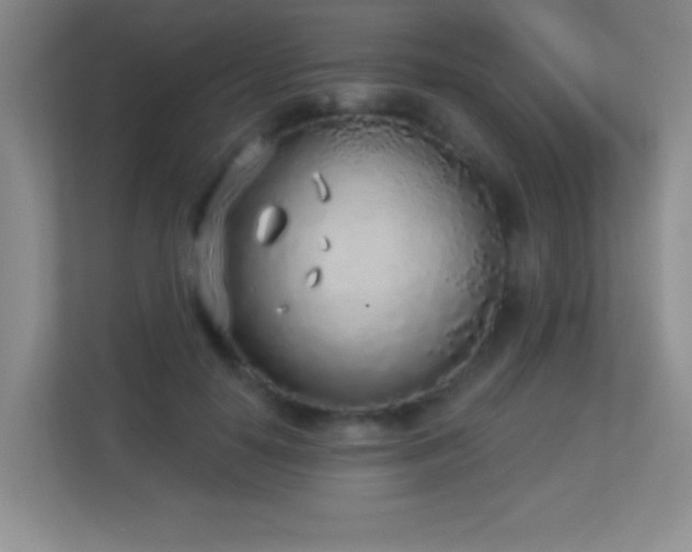 X0000113920650200909241531