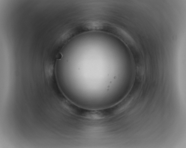 X0000113920652200909241531