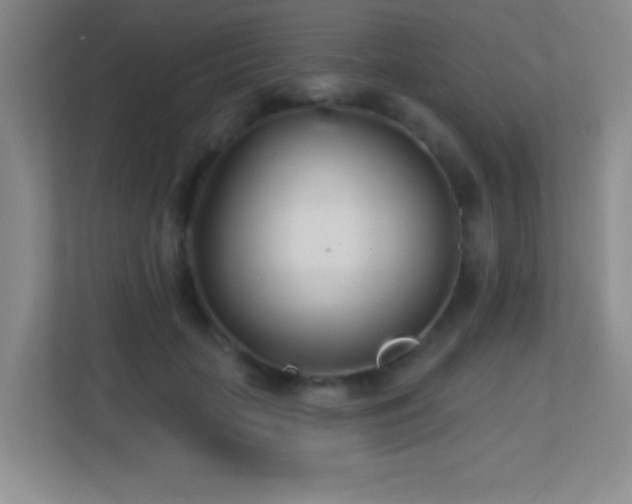 X0000113920653200909241531