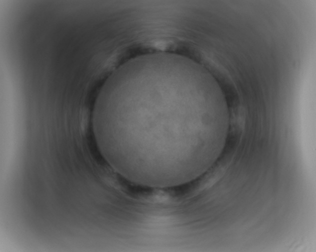 X0000113920656200909241531