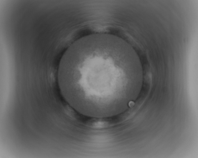 X0000113920658200909241531