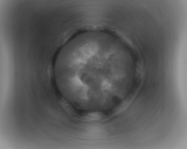 X0000113920659200909241531