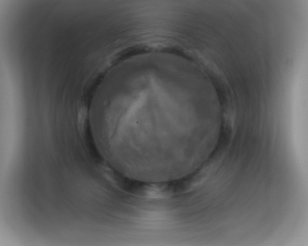 X0000113920660200909241531