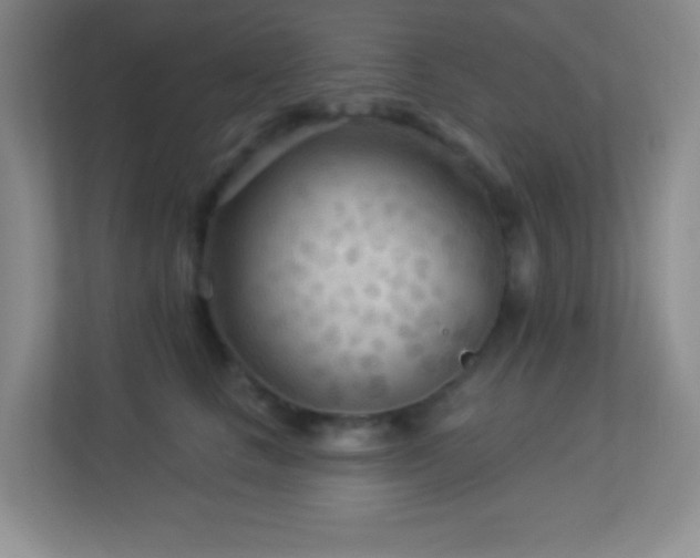 X0000113920661200909241531