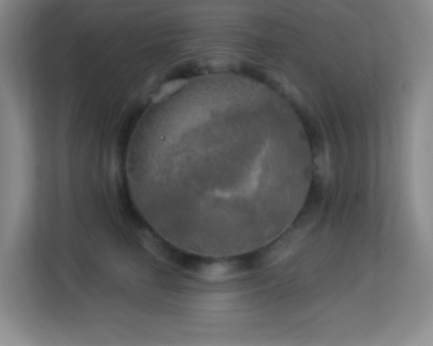 X0000113920662200909241531