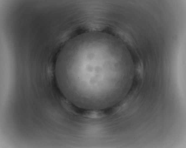 X0000113920663200909241531