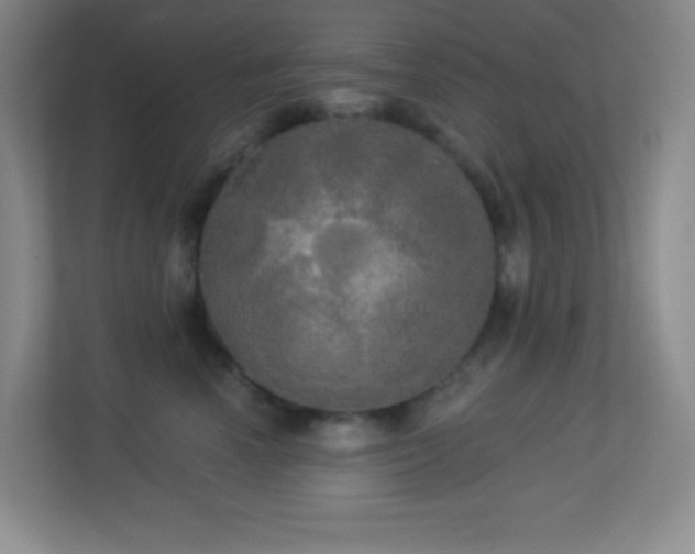 X0000113920666200909241531