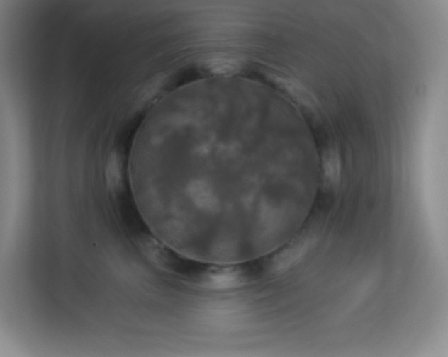 X0000113920667200909241531