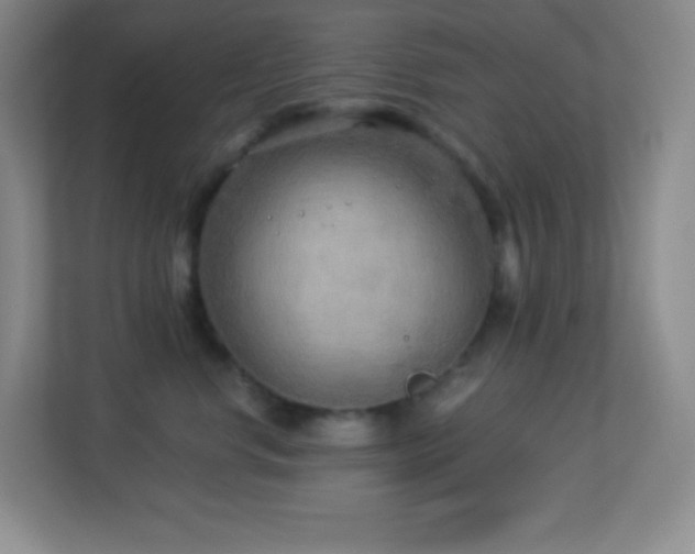 X0000113920668200909241531