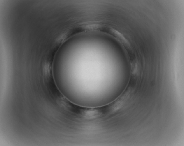 X0000113920669200909241531