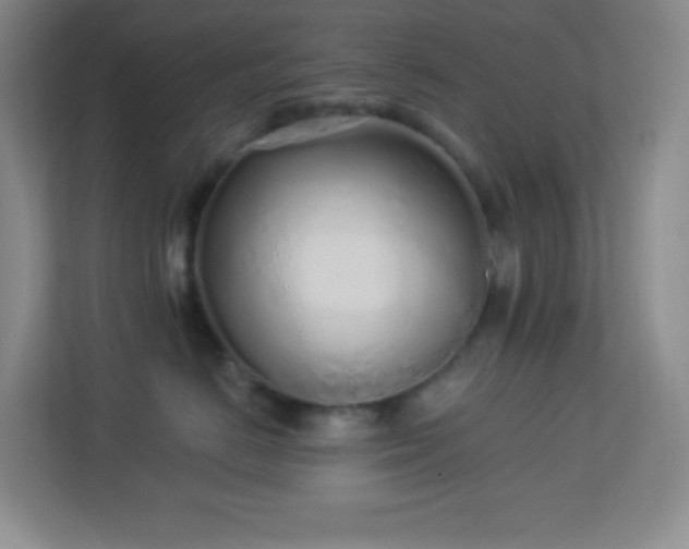 X0000113920670200909241531