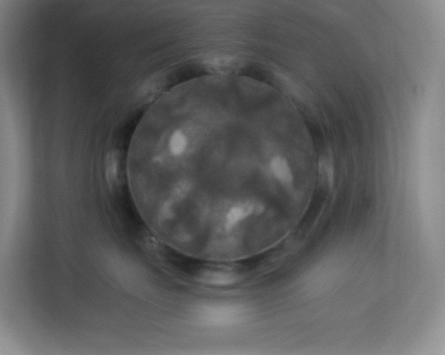 X0000113920671200909241531