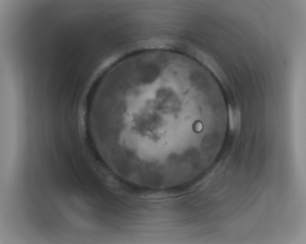 X0000113920675200909241530