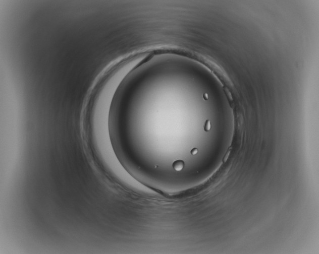 X0000113920676200909241530