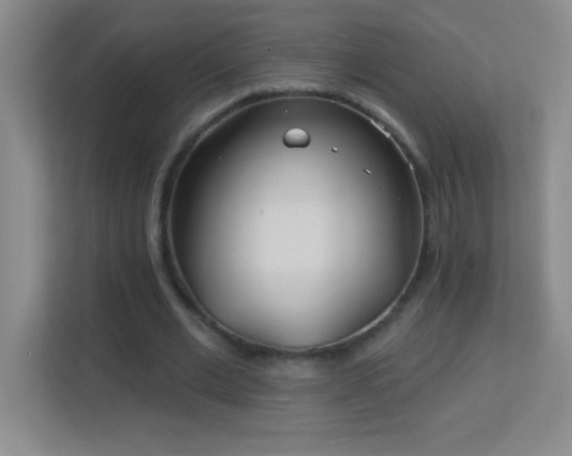 X0000113920677200909241530