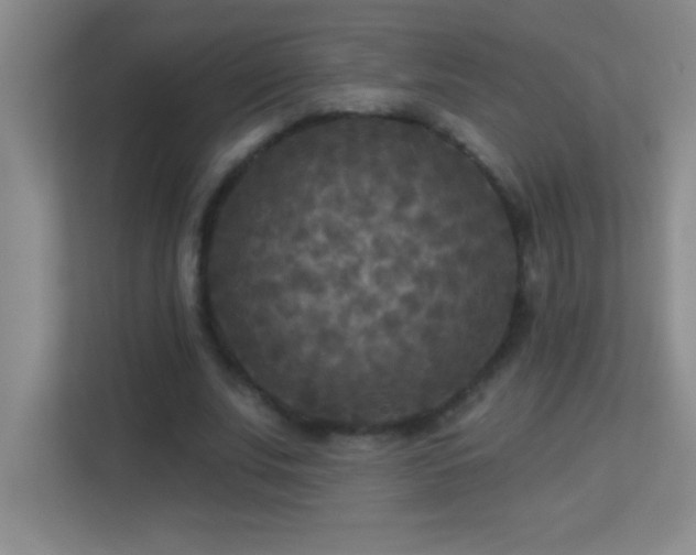 X0000113920679200909241530