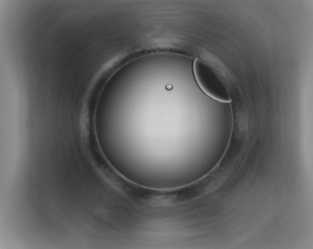 X0000113920680200909241530