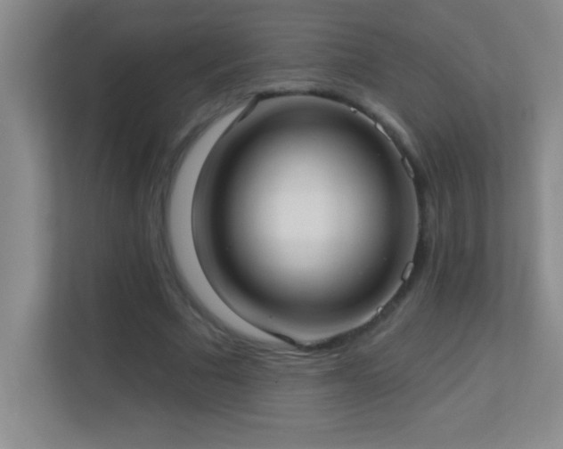 X0000113920681200909241530