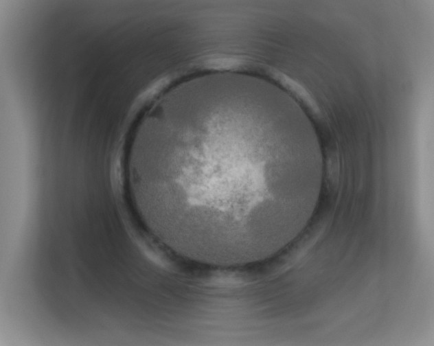 X0000113920682200909241530