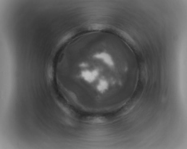 X0000113920683200909241530