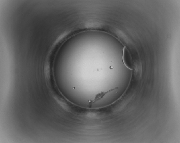 X0000113920684200909241530