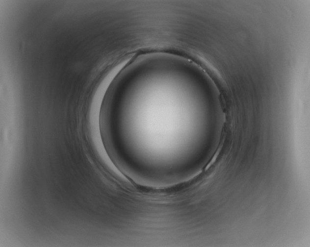 X0000113920685200909241530