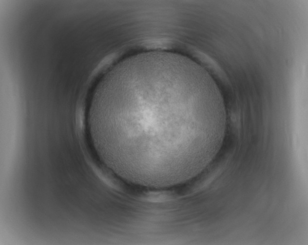 X0000113920686200909241530