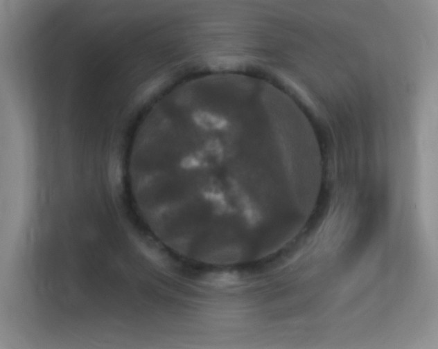 X0000113920687200909241530