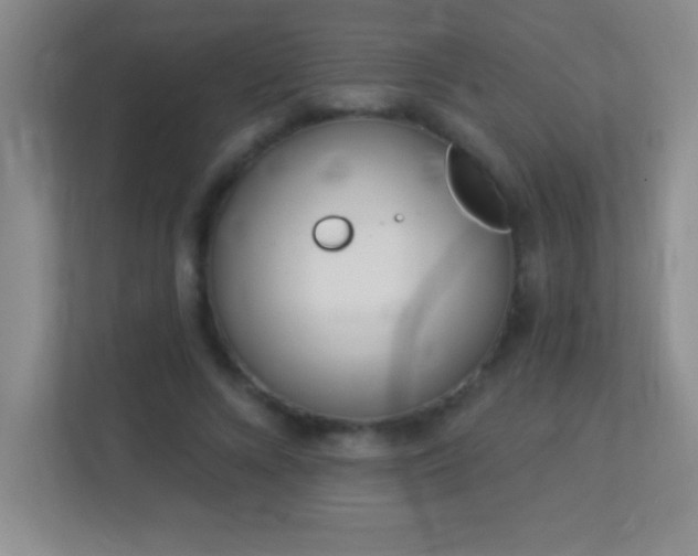 X0000113920688200909241530