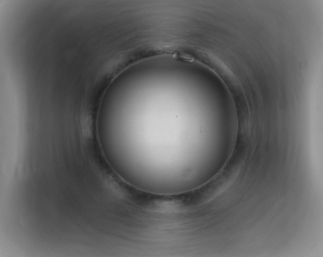 X0000113920689200909241530