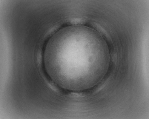 X0000113920690200909241530