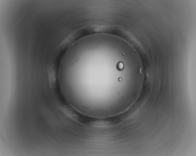 X0000113920691200909241530