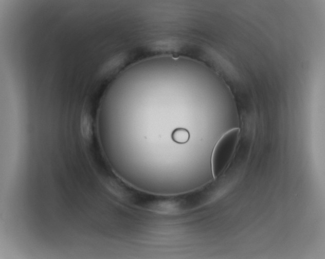 X0000113920692200909241530