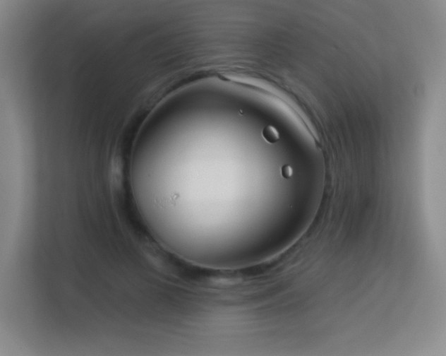 X0000113920693200909241530