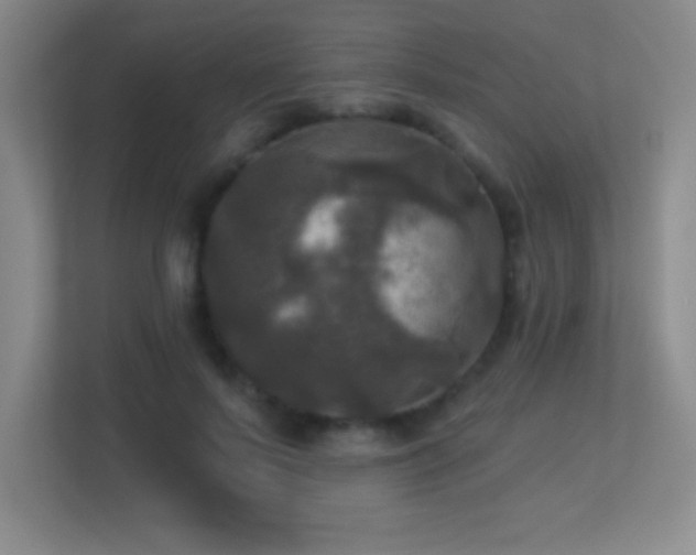 X0000113920695200909241530