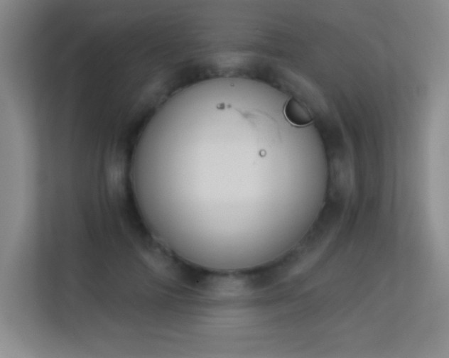 X0000113920698200909241530