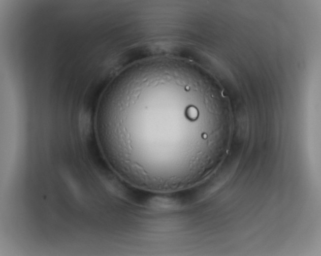 X0000113920699200909241530