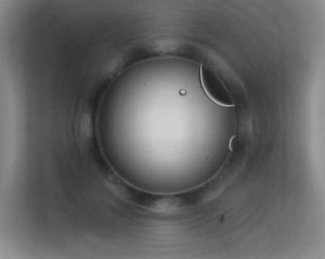 X0000113920700200909241530