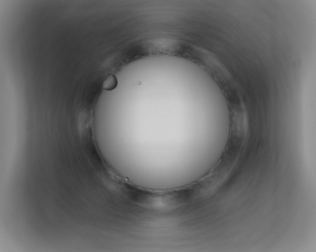 X0000113920701200909241530