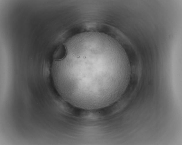 X0000113920702200909241530