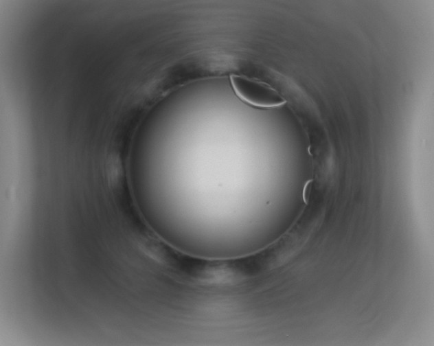 X0000113920704200909241530