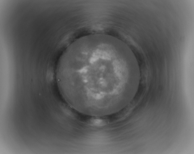 X0000113920706200909241530