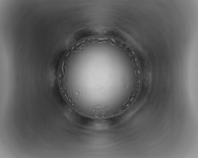 X0000113920707200909241530