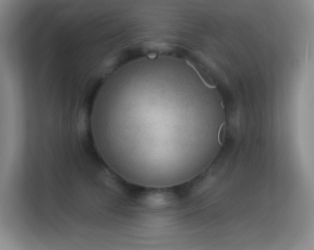 X0000113920708200909241530