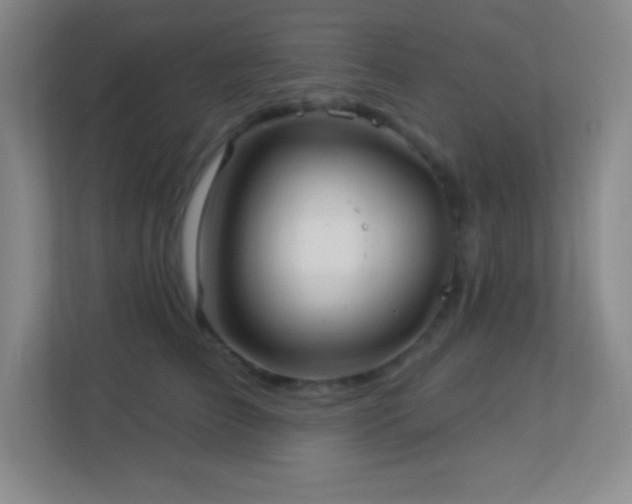 X0000113920709200909241530