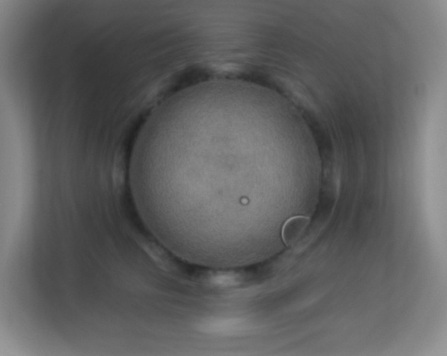 X0000113920710200909241530